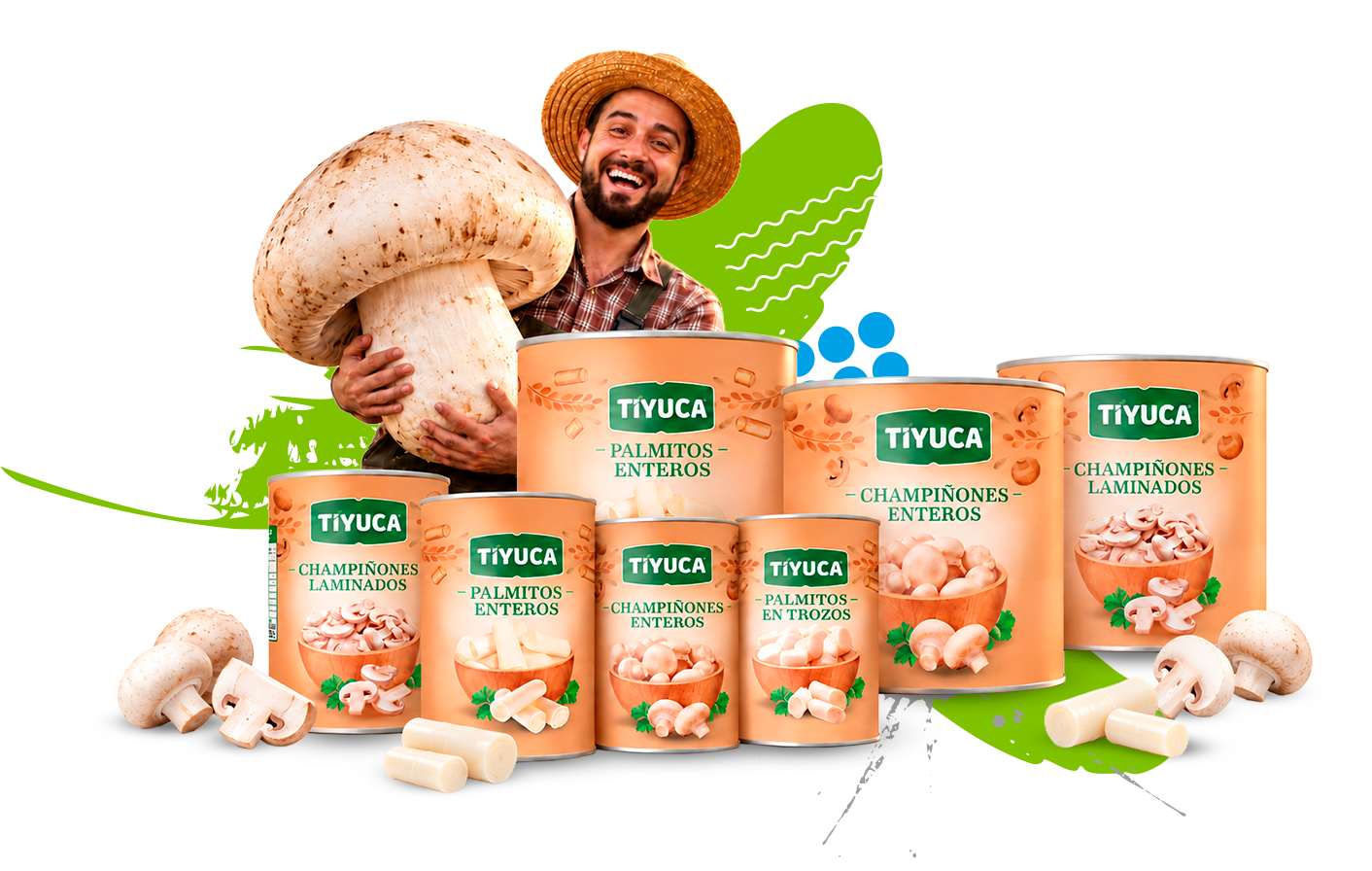 Línea Palmitos y Champiñones TIYUCA
